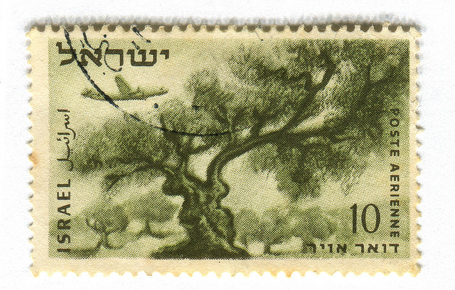 olive stamp